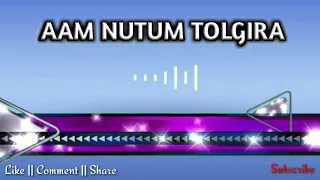 Aam Nutum Tolgira // new version 2019 || new santali song 2019