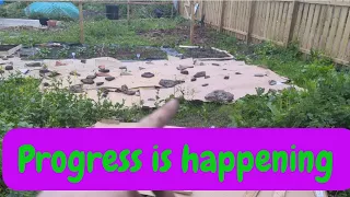 starting no dig beds /allotment beginner