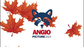 29-30 сентября состоится «Осенняя актуализация Angiopicture-2023” в Radisson Congress Sochi