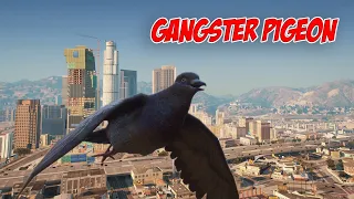 GANGSTER PIGEON | GTA 5 RP