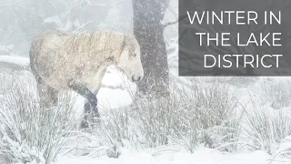 Stunning Winter Landscapes in the Lake District