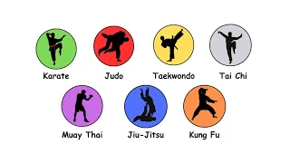 Every Type of Martial Arts Explained in 5 Minutes.