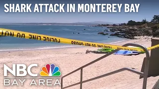 Man Injured in Shark Attack Near Monterey