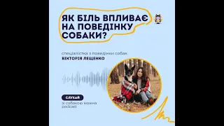 Хуліган чи щось болить? Про небажану поведінку собак