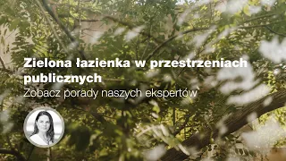 Zielona łazienka w przestrzeniach publicznych