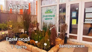 Запорожская, питомник Гларус// Ненавязчивый сервис// Анапа