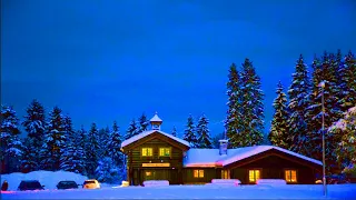 ❄Beautiful Winter Snow Scene Relaxing Piano Music - Soothing Calming Sleep Meditation Study Music 17