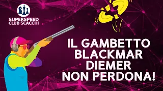 IL GAMBETTO BLACKMAR-DIEMER NON PERDONA!