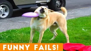 TRY NOT TO LAUGH FUNNIEST PET FAILS AUGUST 2018 | Funny Pet Videos