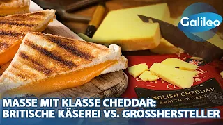 Masse mit Klasse Cheddar: Britische Käserei vs. Großhersteller