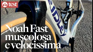 Ridley Noah Fast: muscolosa e velocissima