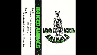 100 Iced Animals - Self Titled (1992)(Full EP) Phoenix Grunge/Metal