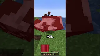 Minecraft, But I Am MADE Of Hearts...