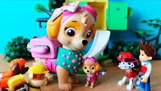 Skye of the Paw Patrol knows his mother