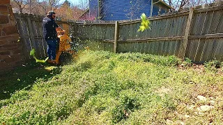 This NEW HOMEOWNER COULD'NT find a lawn care guy and CALLED ME...so I gave her a FREE CUT