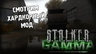 S.T.A.L.K.E.R. Anomaly GAMMA *ЧИСТО ЗАЦЕНИТЬ* (Стрим от 08.02.2023)