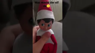 ich habe ein elf?