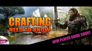 Guild Wars 2 New Player Guide 2022 Short |  NEED TO KNOW The Crafting & Salvaging Systems