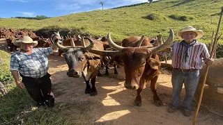 MUTIRÃO DE LENHA PARA FOGUEIRA DE SÃO JOÃO - FAZENDA NOVA