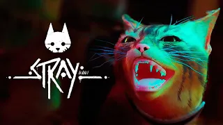 ФИНАЛ КОТИКА ПРОБИВАЕТ ДО СЛЕЗ - БРЕЙН ИГРАЕТ В STRAY #6