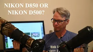 Nikon D850 or Nikon D500 - Which One Should You Buy?