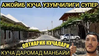 ОЛТИАРИК КУЧАЛАРИ   КУЧАДА УЗУМ ХОСИЛИ СУПЕР