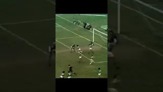 Palmeiras 3x1 Fluminense 1975 Marco António