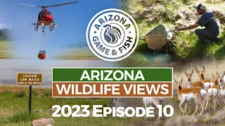 2023 Arizona Wildlife Views Episode 10 - 30 Minutes