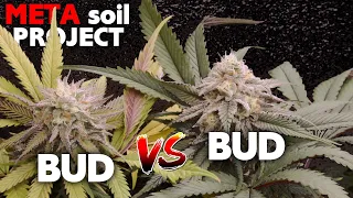 Episode 10 - UGLY IS HERE! Buds vs Buds