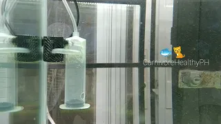 DIY CO2 Reactor