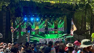 Virus Syndicate @ Lost Lands 2023 (Day 0 - Thursday Preparty // Grove Stage)