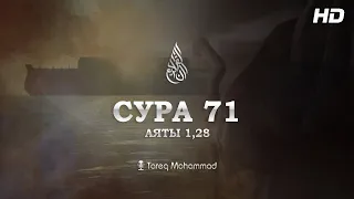 Сура: Нух | Чтец: Tareq Mohammad