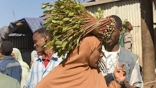 Madagascar : quand le khat gagne du terrain