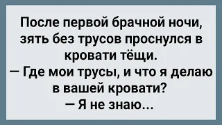 После Брачной Ночи Зять Без Трусов Проснулся в Кровати Тещи! Сборник Свежих Анекдотов! Юмор!