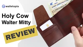 Walter Mitty wallet from Holy Cow! Nice way to travel!