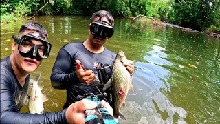 PESCA DE BOCACHICOS GIGANTES CON ARPON Y TECNICAS DE PESCA