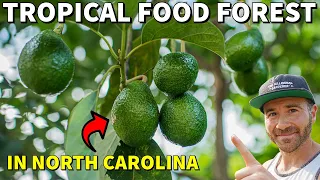 You Won't Believe This TROPICAL FOOD FOREST Growing In North Carolina!