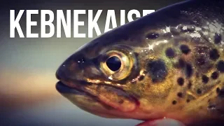 FISKE I FJÄLLEN - fiske bland Sveriges Högsta Berg! (Two Hunters)