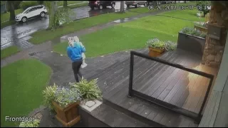 'Nonchalant and brazen': Camera records woman snatching front-yard statue
