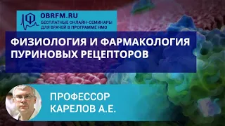 Профессор Карелов А.Е.: Физиология и фармакология пуриновых рецепторов