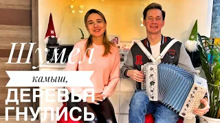 ШУМЕЛ КАМЫШ, ДЕРЕВЬЯ ГНУЛИСЬ || КРАСИВАЯ ПЕСНЯ ПОД ГАРМОНЬ || НОЧКА ТЕМНАЯ БЫЛА || ПРО ЛЮБОВЬ