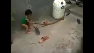 😳 OMG kid playing with snake | funny short video clip