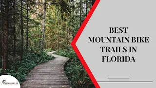 Best Mountain Bike Trails in Florida
