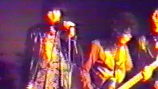 The Fuzztones 1987 unknown live