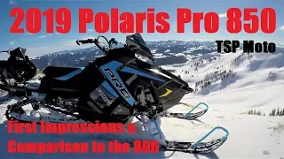 2019 Polaris Pro 850 vs 800 & First Ride Impressions