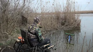 ЗИМНЯЯ РЫБАЛКА, клёв рыбы на диком водоёме, НАКОРМИЛ ДИКОГО КОТА РЫБОЙ природа и отдых