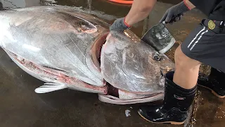 Amazing 300 kg giant bluefin tuna cutting skills