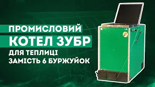 Промышленный котел для теплицы площадью 1200 кв.м. заменил мне 6 буржуек