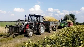 kukorica silózás 2k21 || Siliranje kukuruza ☆ kiszonka z kukurydzy ☆ Corn Silage