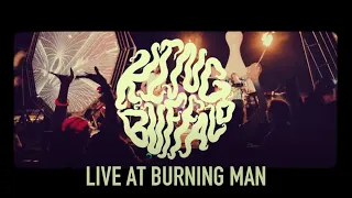 King Buffalo - Live at Burning Man (Concert Film)